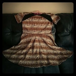 Feisty but sophisticated cheetah